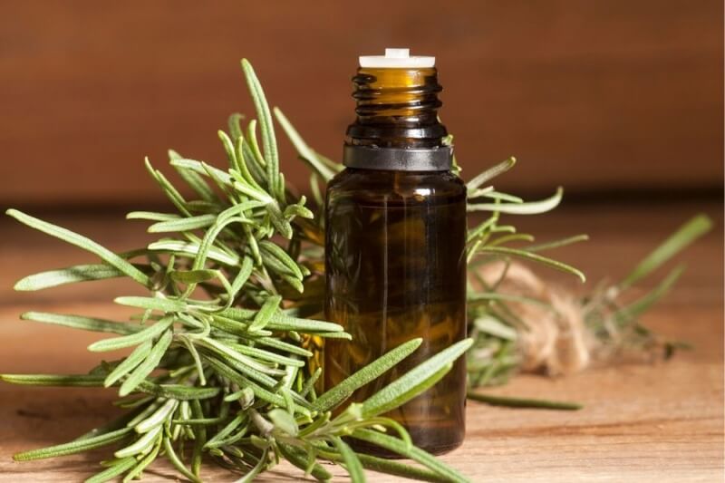 USES AND BENEFITS OF ROSEMARY OIL - N-essentials Pty Ltd